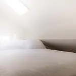 لييك سايد لوكيشين بلفيو