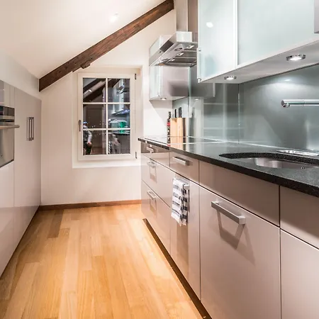 Lake Side Location Bellevue Apartment Zurich