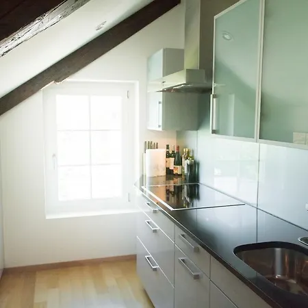 Lake Side Location Bellevue * Zurich